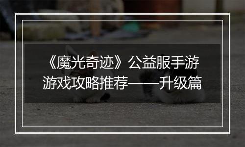 《魔光奇迹》公益服手游游戏攻略推荐——升级篇