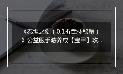 《泰坦之剑（0.1折武林秘籍）》公益服手游养成【宝甲】攻略