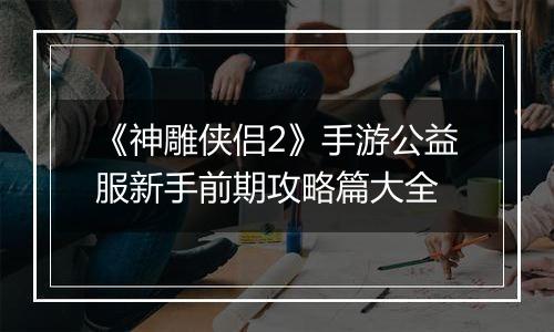 《神雕侠侣2》手游公益服新手前期攻略篇大全