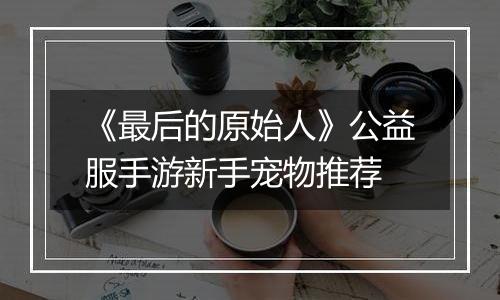 《最后的原始人》公益服手游新手宠物推荐