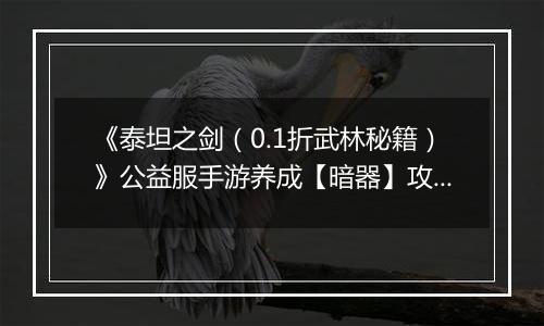《泰坦之剑（0.1折武林秘籍）》公益服手游养成【暗器】攻略
