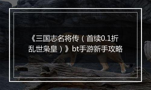 《三国志名将传（首续0.1折乱世枭皇）》bt手游新手攻略