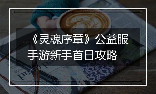 《灵魂序章》公益服手游新手首日攻略