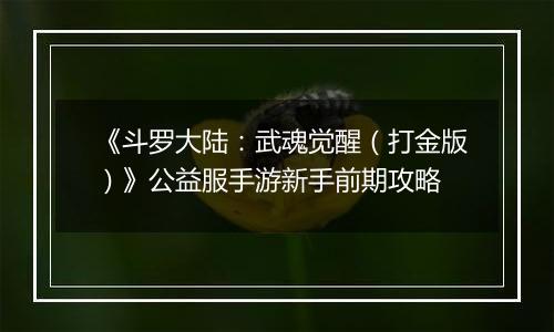 《斗罗大陆：武魂觉醒（打金版）》公益服手游新手前期攻略
