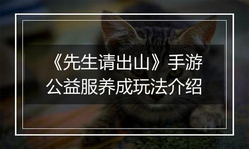 《先生请出山》手游公益服养成玩法介绍