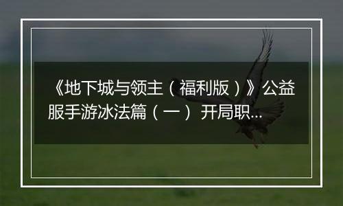 《地下城与领主（福利版）》公益服手游冰法篇（一） 开局职业如何选择