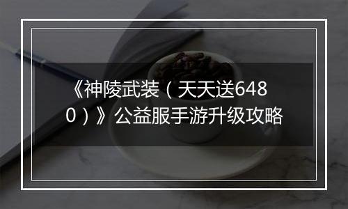 《神陵武装（天天送6480）》公益服手游升级攻略