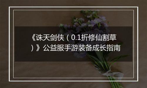 《诛天剑侠（0.1折修仙割草）》公益服手游装备成长指南