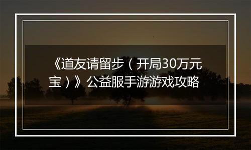 《道友请留步（开局30万元宝）》公益服手游游戏攻略