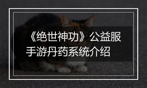 《绝世神功》公益服手游丹药系统介绍
