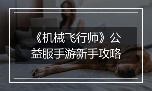 《机械飞行师》公益服手游新手攻略