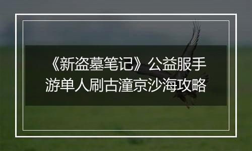 《新盗墓笔记》公益服手游单人刷古潼京沙海攻略