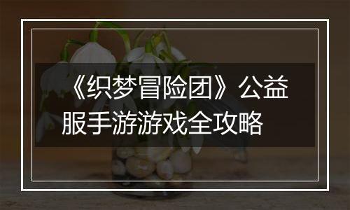 《织梦冒险团》公益服手游游戏全攻略