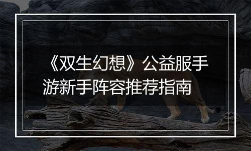 《双生幻想》公益服手游新手阵容推荐指南