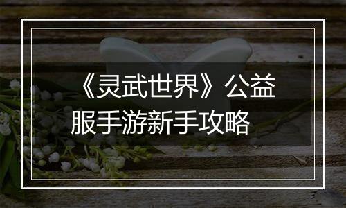 《灵武世界》公益服手游新手攻略