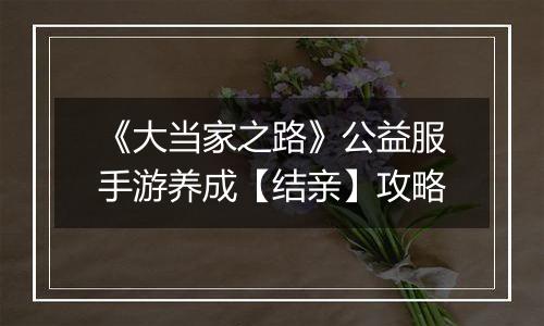 《大当家之路》公益服手游养成【结亲】攻略