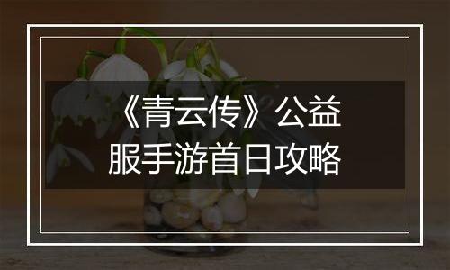 《青云传》公益服手游首日攻略