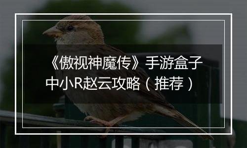 《傲视神魔传》手游盒子中小R赵云攻略（推荐）