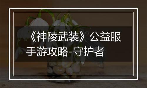《神陵武装》公益服手游攻略-守护者