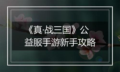 《真·战三国》公益服手游新手攻略
