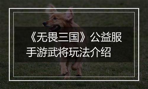 《无畏三国》公益服手游武将玩法介绍