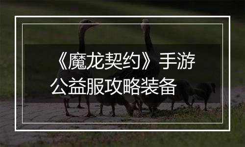 《魔龙契约》手游公益服攻略装备