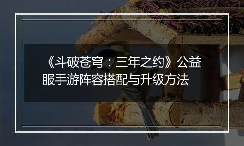 《斗破苍穹：三年之约》公益服手游阵容搭配与升级方法