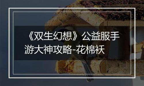 《双生幻想》公益服手游大神攻略-花棉袄