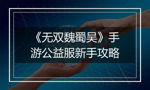 《无双魏蜀吴》手游公益服新手攻略