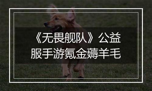 《无畏舰队》公益服手游氪金薅羊毛