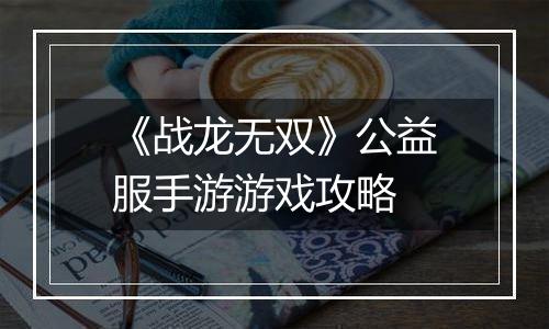 《战龙无双》公益服手游游戏攻略