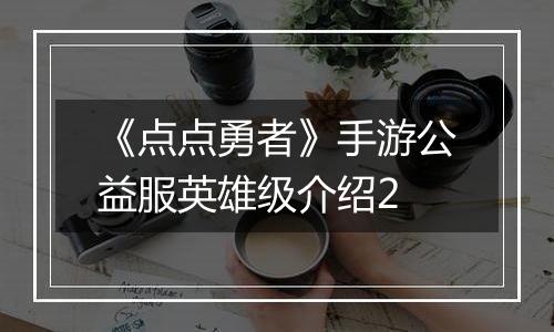 《点点勇者》手游公益服英雄级介绍2