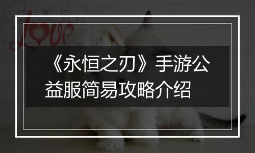 《永恒之刃》手游公益服简易攻略介绍