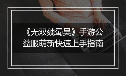 《无双魏蜀吴》手游公益服萌新快速上手指南