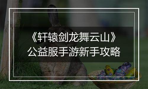 《轩辕剑龙舞云山》公益服手游新手攻略