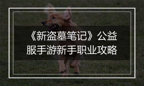 《新盗墓笔记》公益服手游新手职业攻略