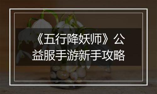 《五行降妖师》公益服手游新手攻略