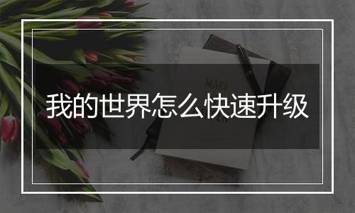 我的世界怎么快速升级