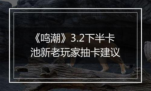 《鸣潮》3.2下半卡池新老玩家抽卡建议