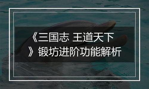 《三国志 王道天下》锻坊进阶功能解析
