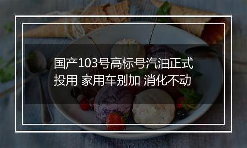 国产103号高标号汽油正式投用 家用车别加 消化不动