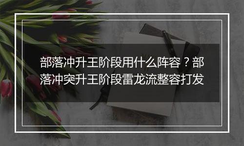 部落冲升王阶段用什么阵容？部落冲突升王阶段雷龙流整容打发