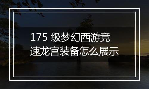 175 级梦幻西游竞速龙宫装备怎么展示