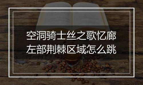 空洞骑士丝之歌忆廊左部荆棘区域怎么跳