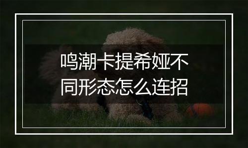 鸣潮卡提希娅不同形态怎么连招