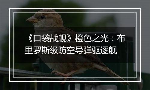 《口袋战舰》橙色之光：布里罗斯级防空导弹驱逐舰