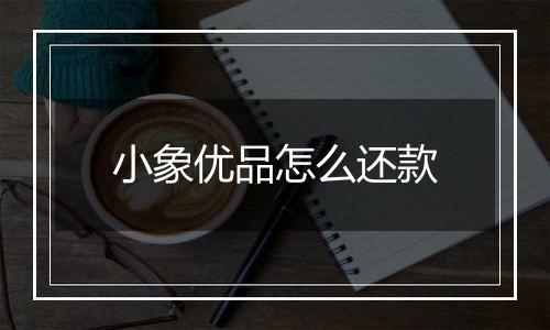 小象优品怎么还款