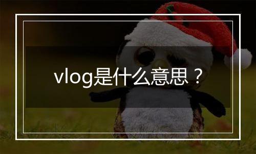 vlog是什么意思？