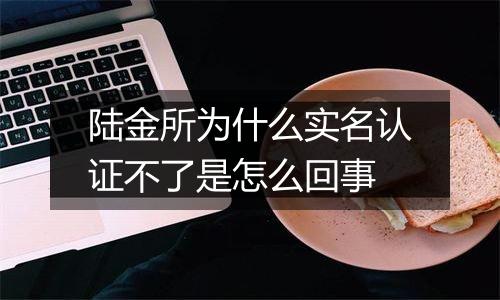 陆金所为什么实名认证不了是怎么回事