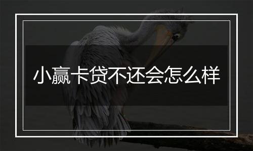 小赢卡贷不还会怎么样